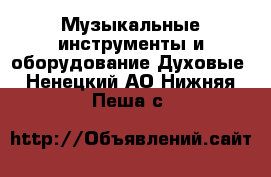 Музыкальные инструменты и оборудование Духовые. Ненецкий АО,Нижняя Пеша с.